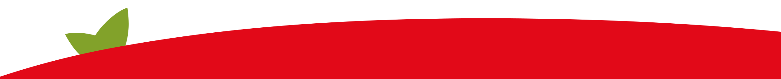 pomo-banda-top-1